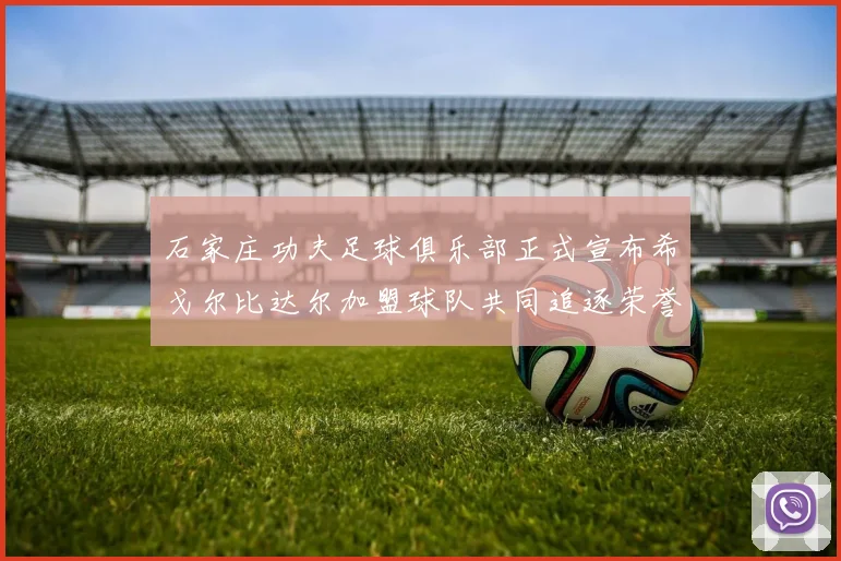 石家庄功夫足球俱乐部正式宣布希戈尔比达尔加盟球队共同追逐荣誉